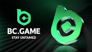 Exploring the Exciting World of BC.Game Hub